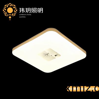 藝(yi)術(shù)現代吸(xi)頂(ding)燈(deng)