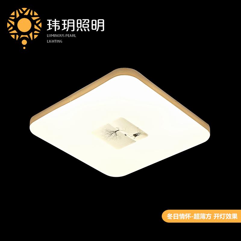 藝術(shù)現代(dai)吸(xi)頂燈